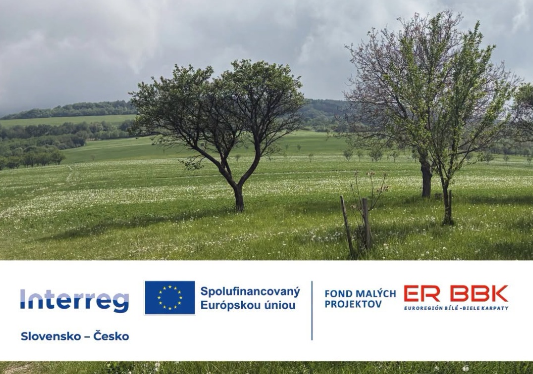 WORKSHOP v lokalitě Nová Lhota (CHKO Bílé Karpaty) – zážitková edukační výchova v rámci projektu